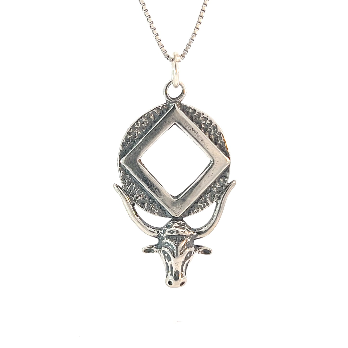 Sterling Silver Pendant, Longhorn with Narcotics Anonymous NA Symbol in a Coin Style Circle