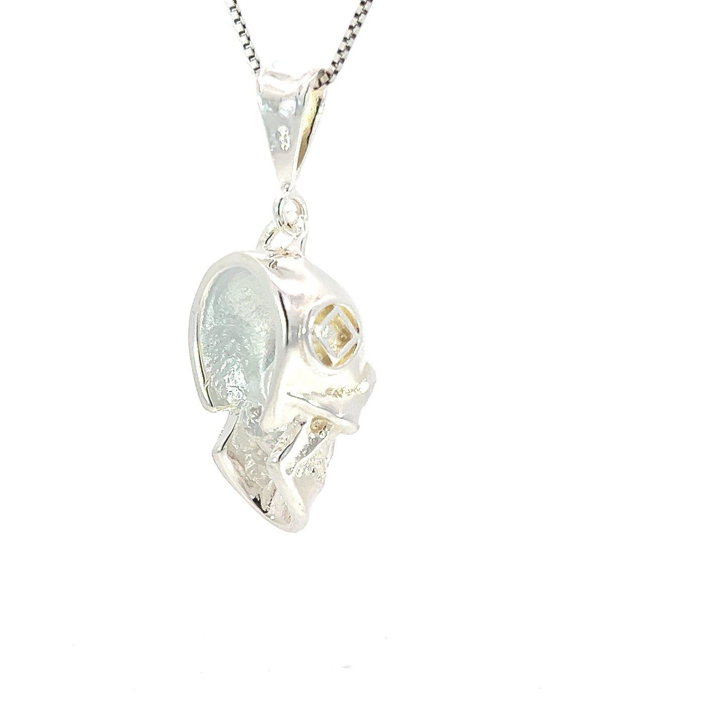Sterling Silver Pendant, 3d Skull with Narcotics Anonymous NA Symbol in a Small Smooth Wire Circle on Both Sides