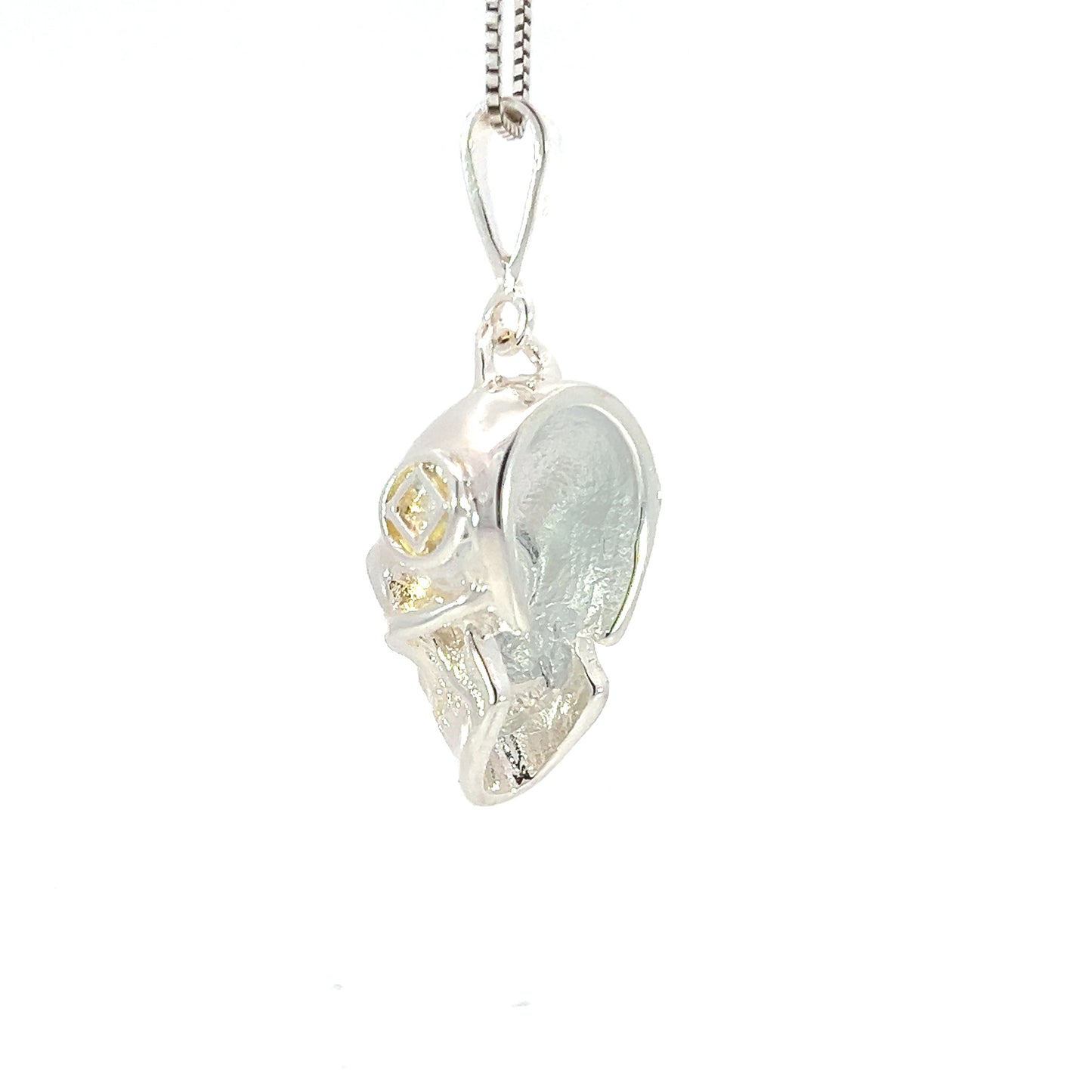 Sterling Silver Pendant, 3d Skull with Narcotics Anonymous NA Symbol in a Small Smooth Wire Circle on Both Sides