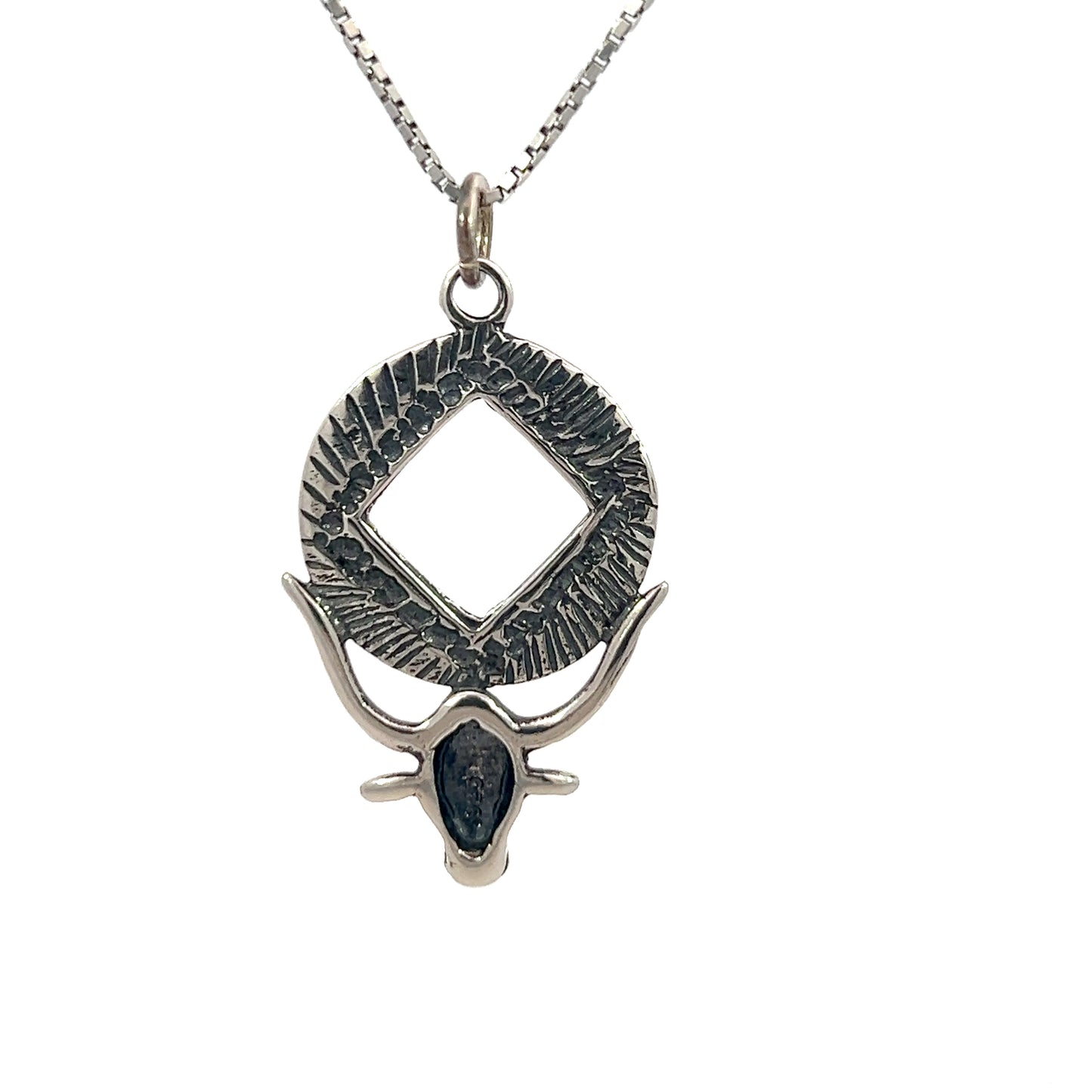 Sterling Silver Pendant, Longhorn with Narcotics Anonymous NA Symbol in a Coin Style Circle