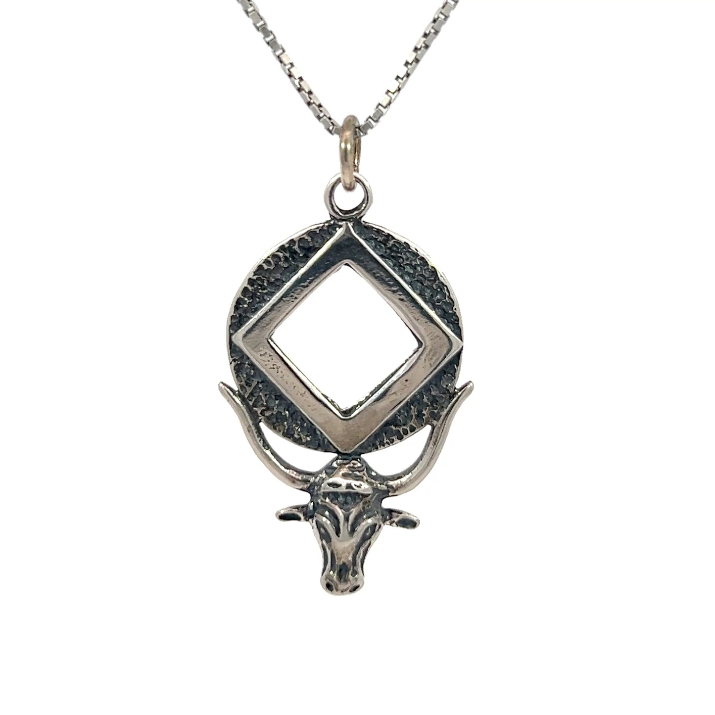 Sterling Silver Pendant, Longhorn with Narcotics Anonymous NA Symbol in a Coin Style Circle