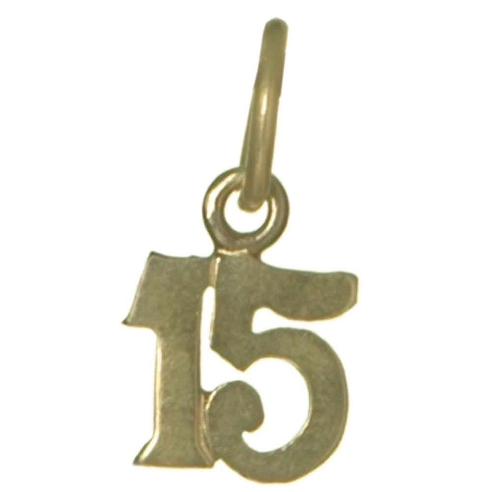 14k Gold Pendant Very Tiny Numerals for Celebrating All Occasions; Anniversary, Birthdays