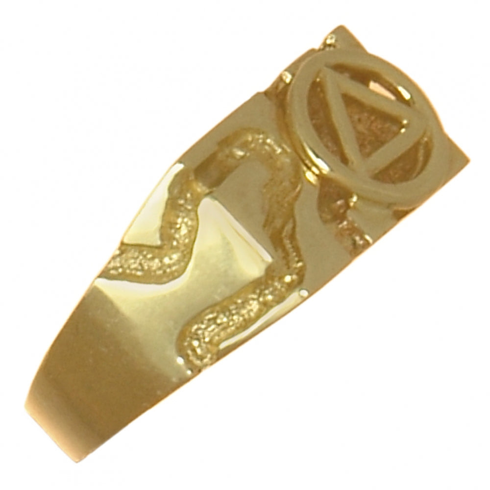 14k Gold Ring, Rectangular Ravine Textured Style Men's Alcoholics Anonymous AA Symbol