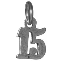 Sterling Silver Pendant #'s 10-29 Small Numerals for Celebrating All Occasions; Anniversary, Birthdays