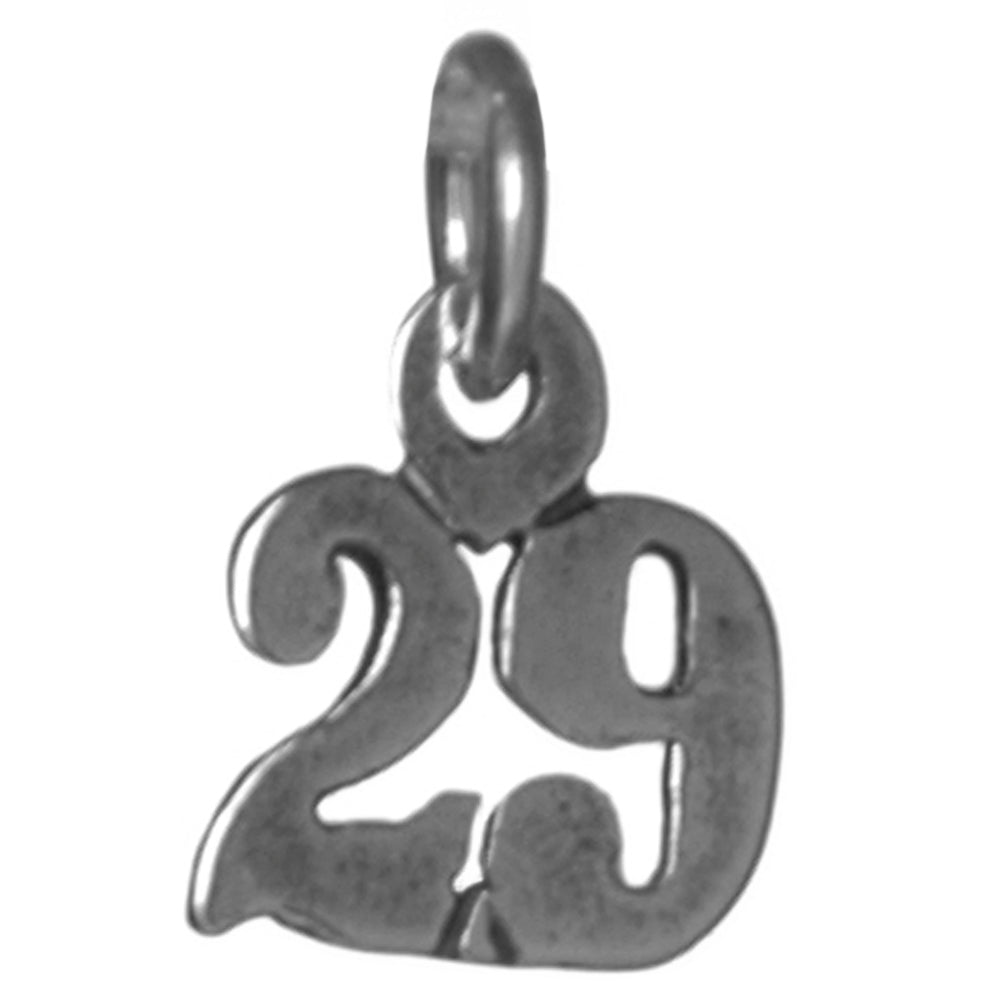 Sterling Silver Pendant #'s 10-29 Small Numerals for Celebrating All Occasions; Anniversary, Birthdays