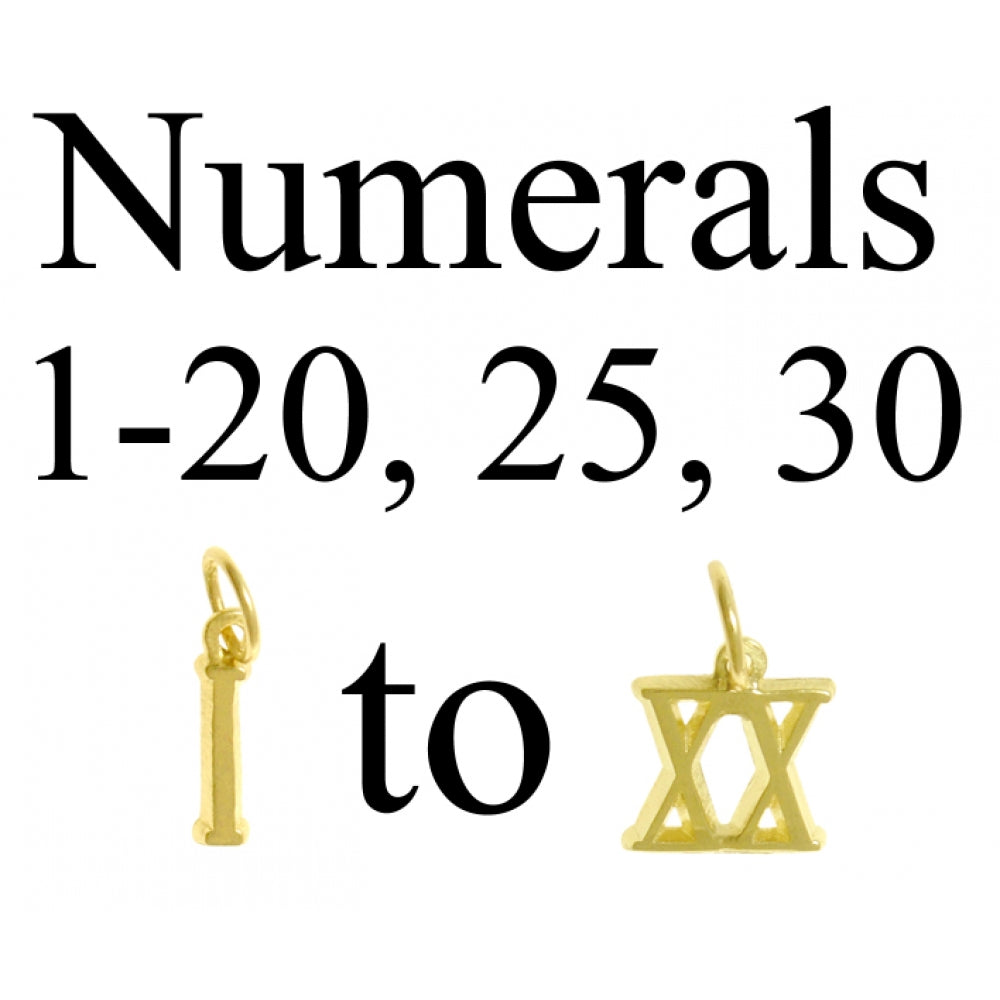 14k Gold Pendant, Small Roman Numerals for Celebrating All Occasions; Anniversary, Birthdays