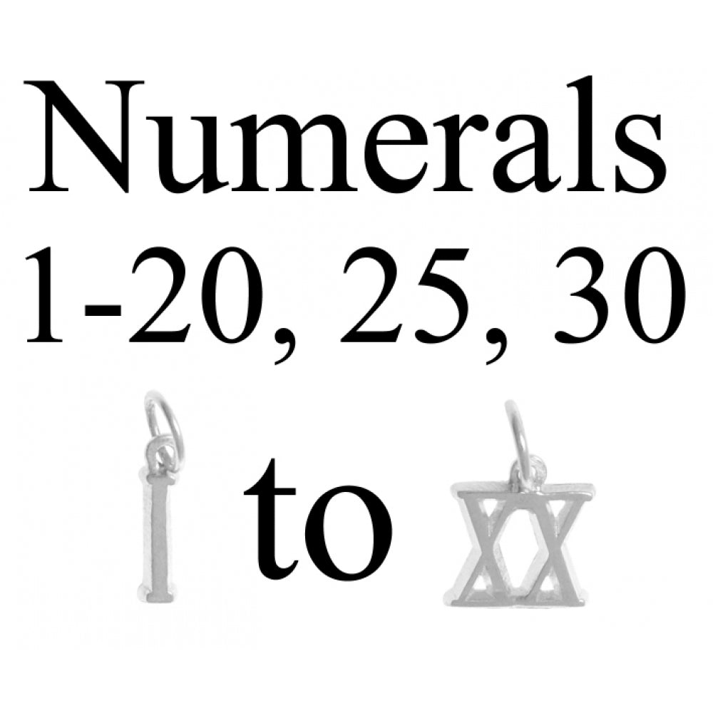 Sterling Silver Pendant, Small Roman Numerals for Celebrating All Occasions; Anniversary, Birthdays