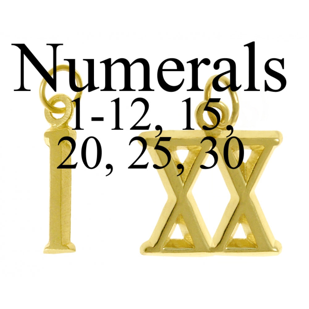 14k Gold Pendant, Roman Numerals for Celebrating All Occasions; Anniversary, Birthdays