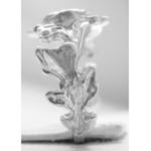 Sterling Silver Ring, Alcoholics Anonymous AA Symbol with a Leaf Style Design
