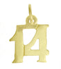 14k Gold Pendant, Numerals for Celebrating All Occasions; Anniversary, Birthdays