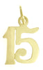 14k Gold Pendant, Numerals for Celebrating All Occasions; Anniversary, Birthdays