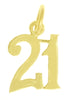 14k Gold Pendant, Numerals for Celebrating All Occasions; Anniversary, Birthdays