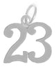 Sterling Silver Pendant, Numerals for Celebrating All Occasions; Anniversary, Birthdays