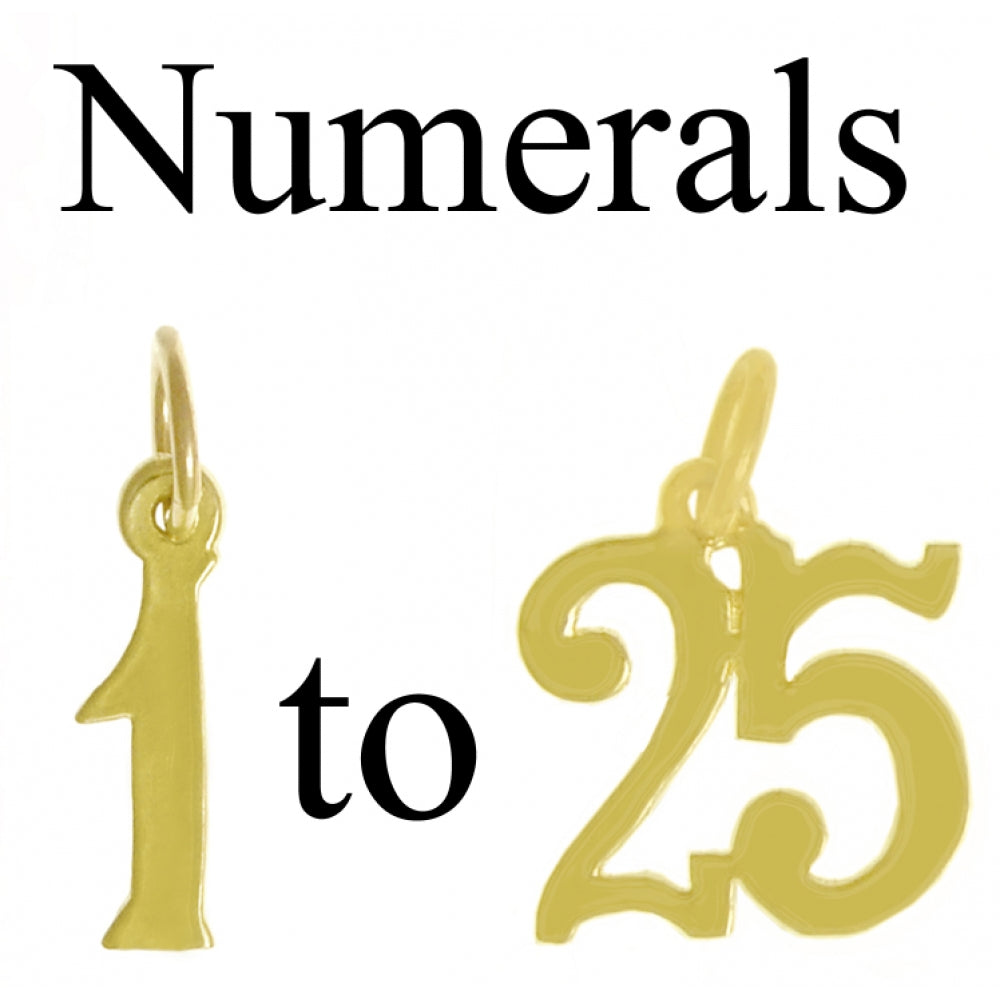 14k Gold Pendant, Numerals for Celebrating All Occasions; Anniversary, Birthdays