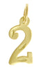 14k Gold Pendant, Numerals for Celebrating All Occasions; Anniversary, Birthdays