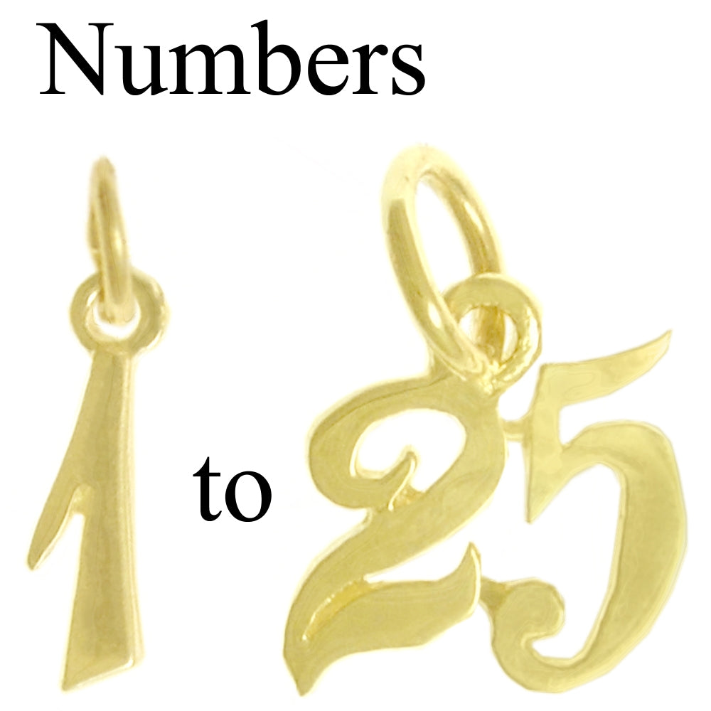 14k Gold Pendant, Numerals for Celebrating All Occasions; Anniversary, Birthdays