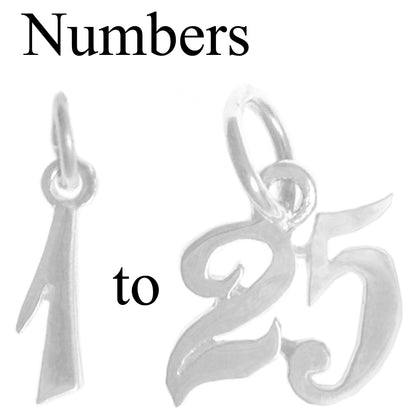 Sterling Silver Pendant, Numerals for Celebrating All Occasions; Anniversary, Birthdays