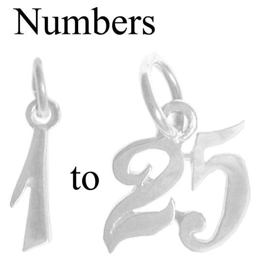 Sterling Silver Pendant, Numerals for Celebrating All Occasions; Anniversary, Birthdays