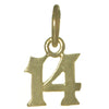 14k Gold Pendant Very Tiny Numerals for Celebrating All Occasions; Anniversary, Birthdays