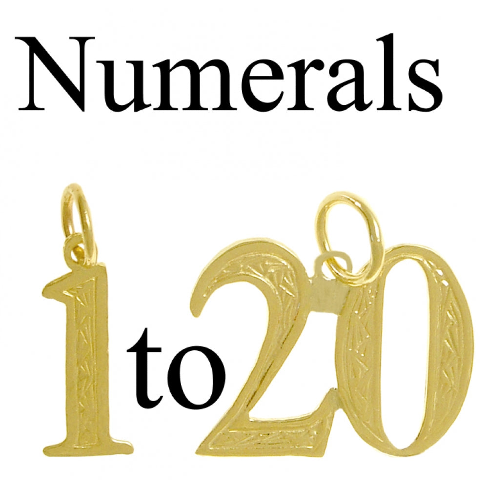 14k Gold Pendant Numerals for Celebrating All Occasions; Anniversary, Birthdays