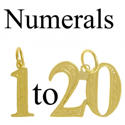 14k Gold Pendant Numerals for Celebrating All Occasions; Anniversary, Birthdays
