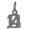 Sterling Silver Pendant #'s 10-29 Small Numerals for Celebrating All Occasions; Anniversary, Birthdays
