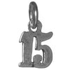 Sterling Silver Pendant #'s 10-29 Small Numerals for Celebrating All Occasions; Anniversary, Birthdays