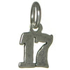 Sterling Silver Pendant #'s 10-29 Small Numerals for Celebrating All Occasions; Anniversary, Birthdays