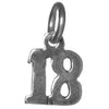 Sterling Silver Pendant #'s 10-29 Small Numerals for Celebrating All Occasions; Anniversary, Birthdays