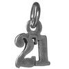 Sterling Silver Pendant #'s 10-29 Small Numerals for Celebrating All Occasions; Anniversary, Birthdays