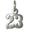 Sterling Silver Pendant #'s 10-29 Small Numerals for Celebrating All Occasions; Anniversary, Birthdays