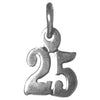 Sterling Silver Pendant #'s 10-29 Small Numerals for Celebrating All Occasions; Anniversary, Birthdays