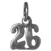 Sterling Silver Pendant #'s 10-29 Small Numerals for Celebrating All Occasions; Anniversary, Birthdays