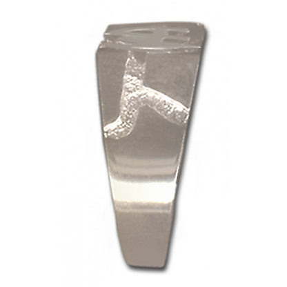 Sterling Silver Ring Rectangular Ravine Textured Style Men's Narcotics Anonymous NA Initial