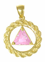14k Gold Pendant, Medium Size, Rope Style Circle, Available in 12 Different Birthstones