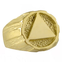 14k Gold, Mens Ring with Alcoholics Anonymous AA Symbol in a Handsome Signet Style Ring