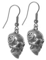Sterling Silver Earrings, 3d Skull with Alcoholics Anonymous AA Symbol on Both Sides