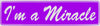 "I'm A Miracle" Bumper Sticker, Available in 3 Colors, Size 11-1/2" x 3"